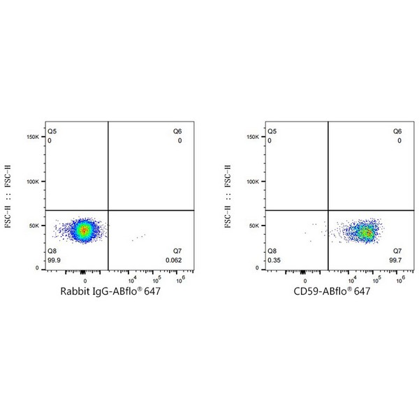 Abclonal ABflo® 647 Rabbit anti-Human CD59 mAb (Catalog Number: A22589)