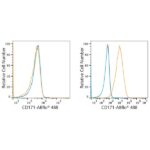 ABflo® 488 Rabbit anti-Human CD171/L1CAM mAb (A22590)