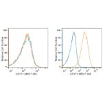 ABflo® 647 Rabbit anti-Human CD171/L1CAM mAb (A22591)