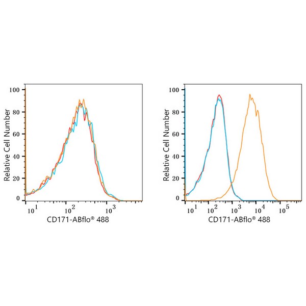 ABflo® 647 Rabbit anti-Human CD171/L1CAM mAb (A22591)