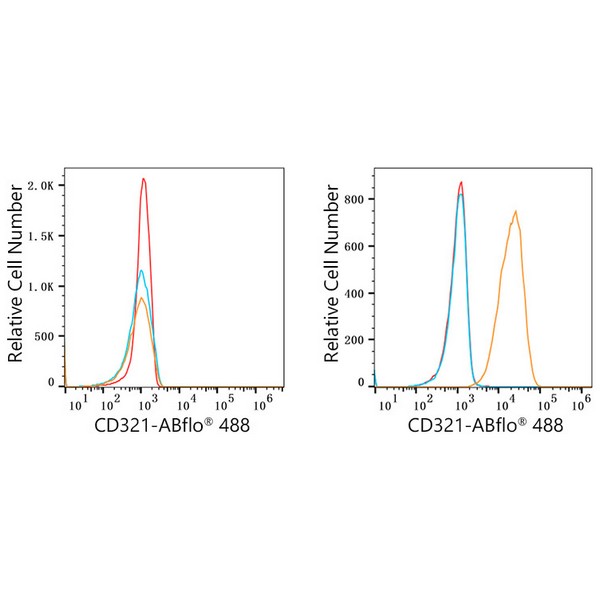 ABflo® 488 Rabbit anti-Human JAM-A/CD321/F11R mAb (A22592)