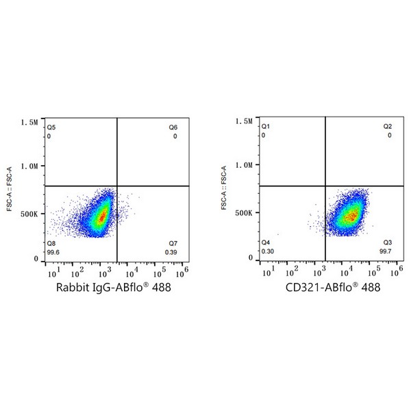 A22592: ABflo® 488 Rabbit anti-Human JAM-A/CD321/F11R mAb