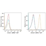 ABflo® 647 Rabbit anti-Human JAM-A/CD321/F11R mAb (A22593)