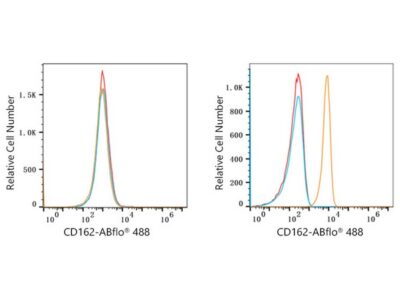 ABflo® 488 Rabbit anti-Human CD162/PSGL-1 mAb (A22630)