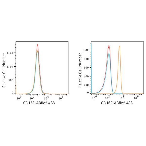 ABflo® 488 Rabbit anti-Human CD162/PSGL-1 mAb (A22630)