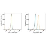 ABflo® 488 Rabbit anti-Human Glypican 3 (GPC3) mAb (A22631)