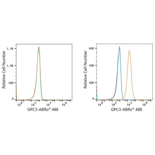 ABflo® 488 Rabbit anti-Human Glypican 3 (GPC3) mAb (A22631)