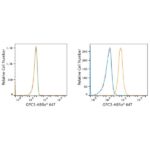 ABflo® 647 Rabbit anti-Human Glypican 3 (GPC3) mAb (A22632)