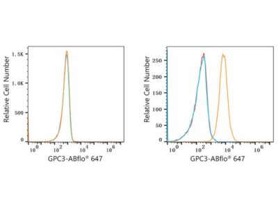 ABflo® 647 Rabbit anti-Human Glypican 3 (GPC3) mAb (A22632)