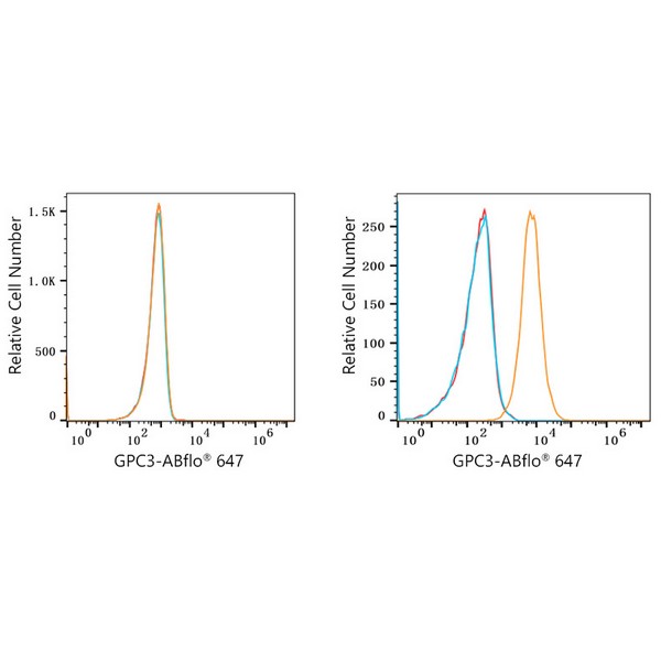 ABflo® 647 Rabbit anti-Human Glypican 3 (GPC3) mAb (A22632) ABflo® 647 Rabbit anti-Human Glypican 3 (GPC3) mAb (A22632)