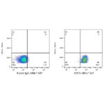 A22632: ABflo® 647 Rabbit anti-Human Glypican 3 (GPC3) mAb