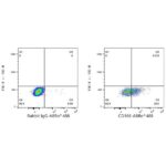 Abclonal ABflo® 488 Rabbit anti-Human CD166/ALCAM mAb (Catalog Number: A22633)