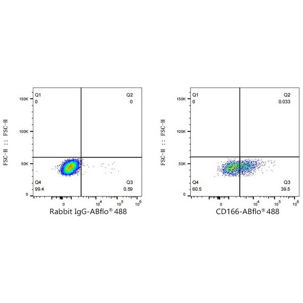 Abclonal ABflo® 488 Rabbit anti-Human CD166/ALCAM mAb (Catalog Number: A22633)