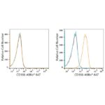 ABflo® 647 Rabbit anti-Human CD166/ALCAM mAb (A22634)