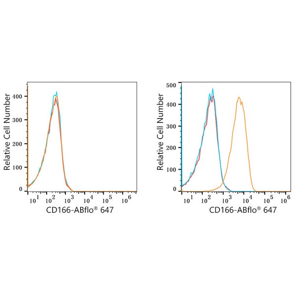 ABflo® 647 Rabbit anti-Human CD166/ALCAM mAb (A22634) ABflo® 647 Rabbit anti-Human CD166/ALCAM mAb (A22634)