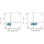 Abclonal ABflo® 647 Rabbit anti-Human CD166/ALCAM mAb (Catalog Number: A22634)