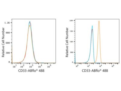 ABflo® 488 Rabbit anti-Human CD33 mAb (A22639)