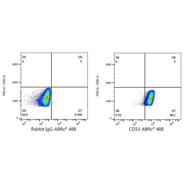 A22639: ABflo® 488 Rabbit anti-Human CD33 mAb