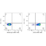 Abclonal ABflo® 488 Rabbit anti-Human CD33 mAb (Catalog Number: A22639)