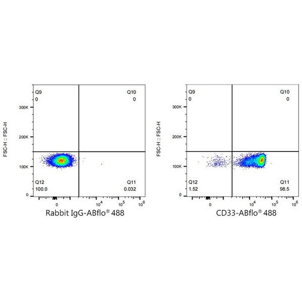 Abclonal ABflo® 488 Rabbit anti-Human CD33 mAb (Catalog Number: A22639)