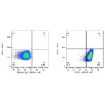 A22640: ABflo® 647 Rabbit anti-Human CD33 mAb