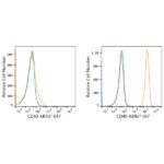 ABflo® 647 Rabbit anti-Human CD40 mAb (A22642)