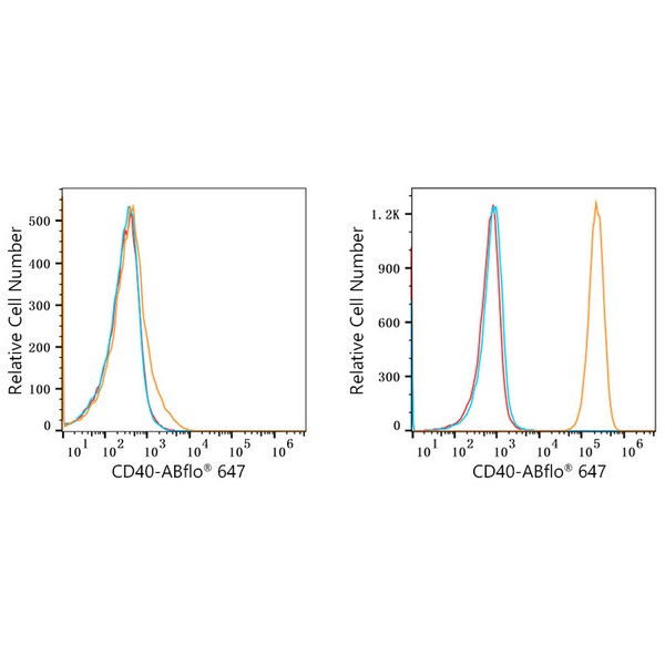 ABflo® 647 Rabbit anti-Human CD40 mAb (A22642)