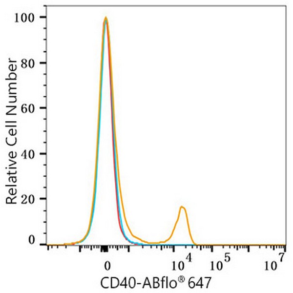 ABflo® 647 Rabbit anti-Human CD40 mAb (Catalog Number: A22642) Abclonal