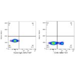 Abclonal ABflo® 647 Rabbit anti-Human CD40 mAb (Catalog Number: A22642)