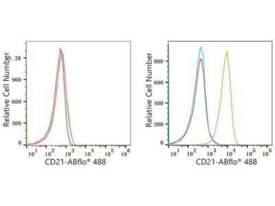 ABflo® 488 Rabbit anti-Human CR2/CD21 mAb (A22643)