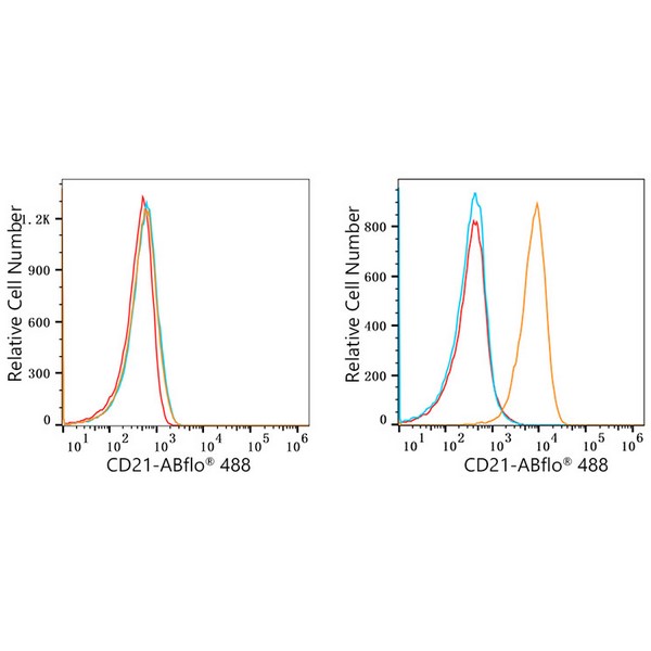 A22643-1 ABflo® 488 Rabbit anti-Human CR2/CD21 mAb (A22643)