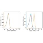 ABflo® 647 Rabbit anti-Human CR2/CD21 mAb (A22644)