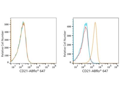 ABflo® 647 Rabbit anti-Human CR2/CD21 mAb (A22644)