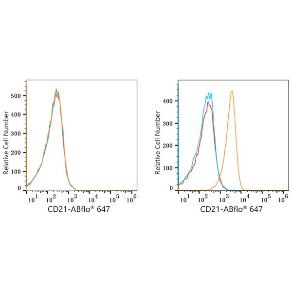 ABflo® 647 Rabbit anti-Human CR2/CD21 mAb (A22644) ABflo® 647 Rabbit anti-Human CR2/CD21 mAb (A22644)