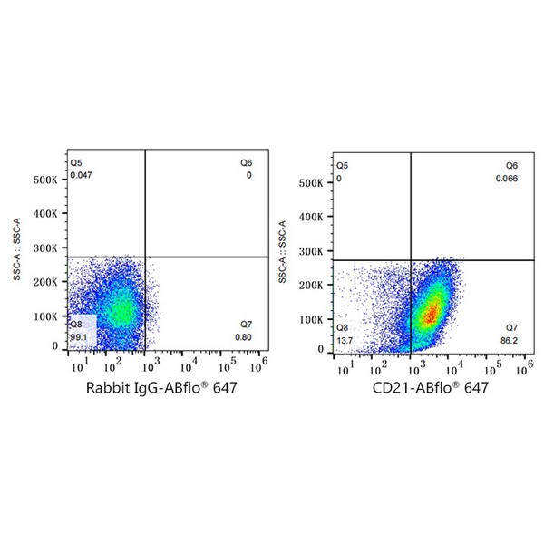A22644: ABflo® 647 Rabbit anti-Human CR2/CD21 mAb