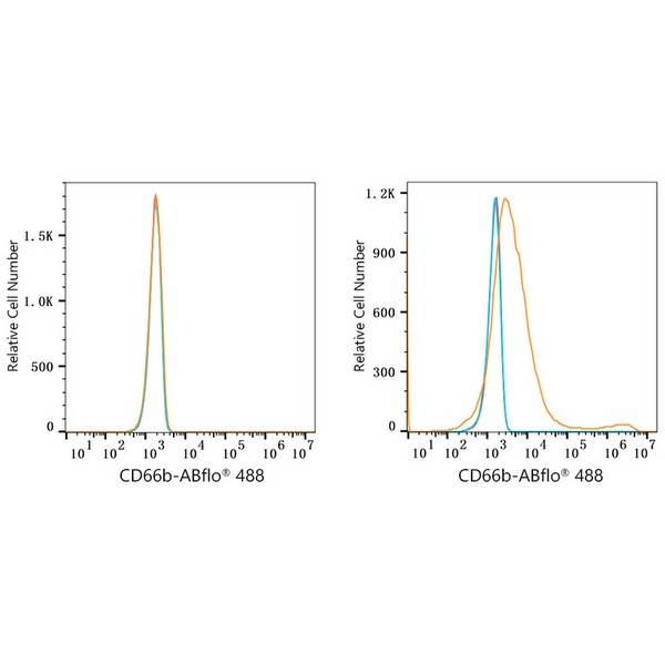 A22685-1 ABflo® 488 Rabbit anti-Human CD66b mAb (A22685)