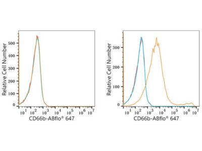 ABflo® 647 Rabbit anti-Human CD66b mAb (A22686)