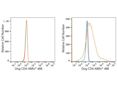 ABflo® 488 Rabbit anti-Dog CD4 mAb (A22687)