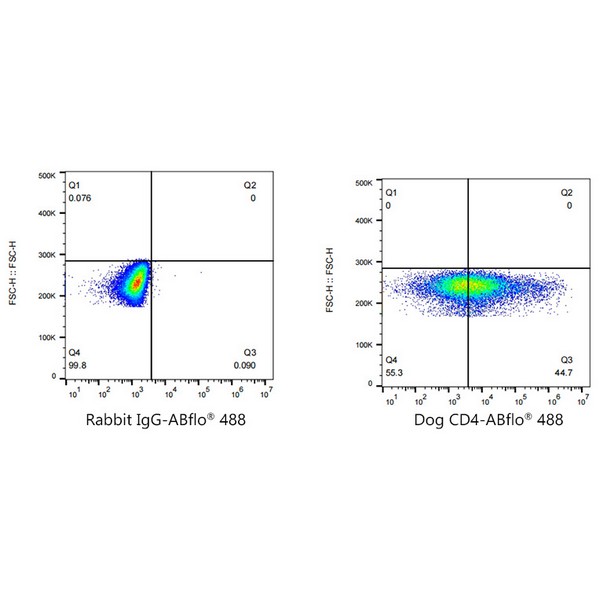 A22687: ABflo® 488 Rabbit anti-Dog CD4 mAb