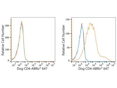 ABflo® 647 Rabbit anti-Dog CD4 mAb (A22688)