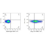 A22688: ABflo® 647 Rabbit anti-Dog CD4 mAb