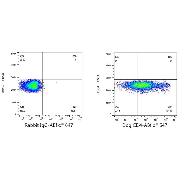 A22688: ABflo® 647 Rabbit anti-Dog CD4 mAb