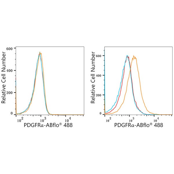 ABflo® 488 Rabbit anti-Human/Mouse PDGFRα/CD140a mAb (A22689) ABflo® 488 Rabbit anti-Human/Mouse PDGFRα/CD140a mAb (A22689)