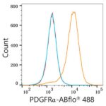 A22689: ABflo® 488 Rabbit anti-Human/Mouse PDGFRα/CD140a mAb