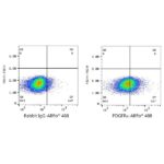 ABflo® 488 Rabbit anti-Human/Mouse PDGFRα/CD140a mAb (Catalog Number: A22689) Abclonal