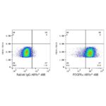 Abclonal ABflo® 488 Rabbit anti-Human/Mouse PDGFRα/CD140a mAb (Catalog Number: A22689)