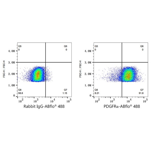 Abclonal ABflo® 488 Rabbit anti-Human/Mouse PDGFRα/CD140a mAb (Catalog Number: A22689)