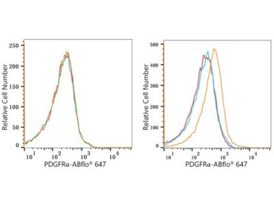 ABflo® 647 Rabbit anti-Human/Mouse PDGFRα/CD140a mAb (A22690)