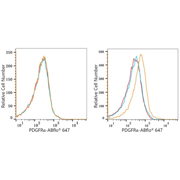 ABflo® 647 Rabbit anti-Human/Mouse PDGFRα/CD140a mAb (A22690) ABflo® 647 Rabbit anti-Human/Mouse PDGFRα/CD140a mAb (A22690)