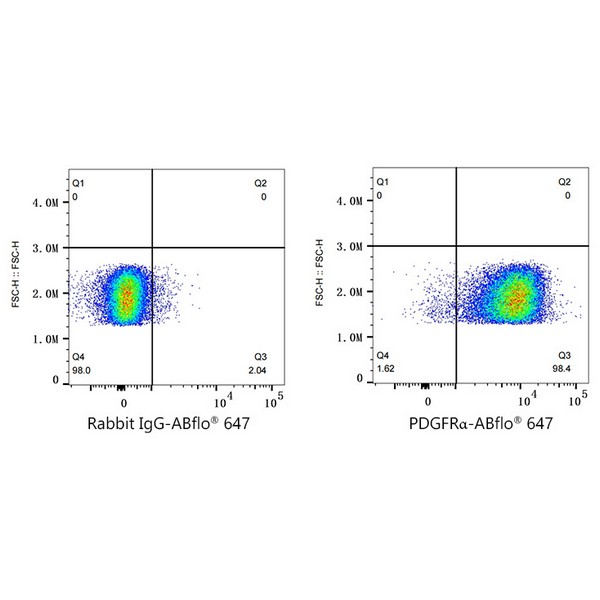 Abclonal ABflo® 647 Rabbit anti-Human/Mouse PDGFRα/CD140a mAb (Catalog Number: A22690)